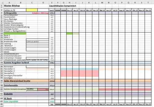 Liquidit&auml;tsplan